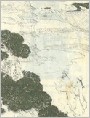 ʶ